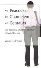 Peacocks, Chameleons, Centaurs: Gay Suburbia and the Grammar of Social Identity