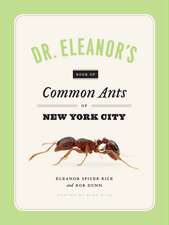 Dr. Eleanor's Book of Common Ants of New York City