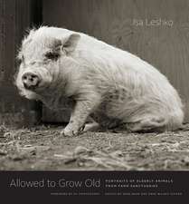 Allowed to Grow Old – Portraits of Elderly Animals from Farm Sanctuaries