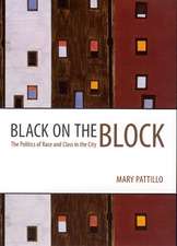 Black on the Block: The Politics of Race and Class in the City