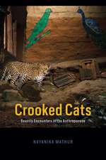 Crooked Cats: Beastly Encounters in the Anthropocene