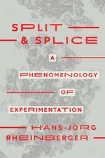 Split and Splice – A Phenomenology of Experimentation