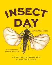 Insect Day: A Story of 24 Hours and 24 Hexapod Lives