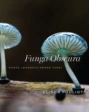 Funga Obscura: Photo Journeys Among Fungi