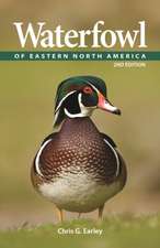 Waterfowl of Eastern North America