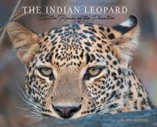 The Indian Leopard