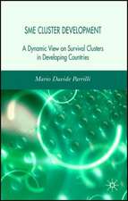 SME Cluster Development: A Dynamic View of Survival Clusters in Developing Countries