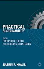 Practical Sustainability