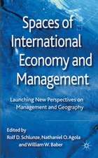 Spaces of International Economy and Management: Launching New Perspectives on Management and Geography