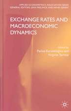 Exchange Rates and Macroeconomic Dynamics