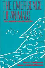 The Emergence of Animals (Paper)