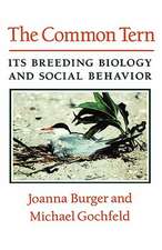 The Common Tern – Its Breeding Biology and Social