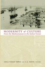 Modernity and Culture – From the Mediterranean to the Indian Ocean