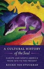 A Cultural History of the Soul – Europe and North America from 1870 to the Present