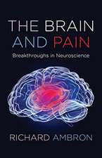 The Brain and Pain – Breakthroughs in Neuroscience