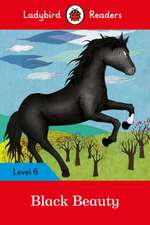 Ladybird Readers Level 6 Black Beauty