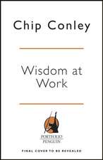 Wisdom at Work: The Making of a Modern Elder