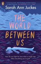 Juckes, S: World Between Us