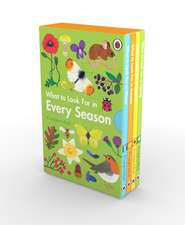 What to Look For in Every Season: A Ladybird Book Boxset