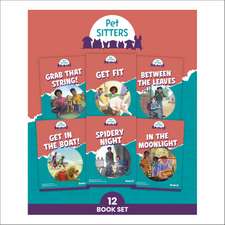 Phonic Books Pet Sitters: Decodable Phonic Books for Older Readers (CVC, Alternative Consonants and Consonant Digraphs, Alternative Spellings for Vowel Sounds - ai, ay, a-e, a)