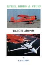 Kites, Birds & Stuff - BEECH Aircraft