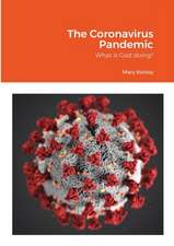 The Coronavirus Pandemic