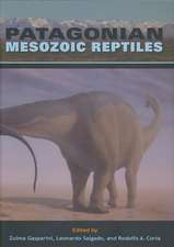 Patagonian Mesozoic Reptiles