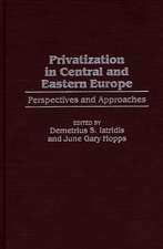 Privatization in Central and Eastern Europe: Perspectives and Approaches