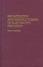 Privatization and Restructuring of Electricity Provision