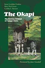 The Okapi: Mysterious Animal of Congo-Zaire