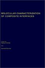 Molecular Characterization of Composite Interfaces