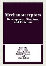 Mechanoreceptors: Development, Structure, and Function