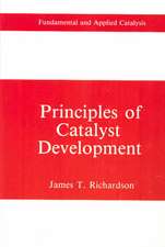 Principles of Catalyst Development