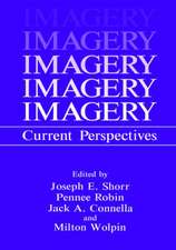 Imagery: Current Perspectives