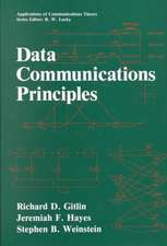 Data Communications Principles