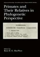 Primates and Their Relatives in Phylogenetic Perspective