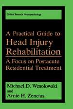 A Practical Guide to Head Injury Rehabilitation