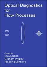 Optical Diagnostics for Flow Processes