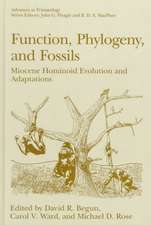 Function, Phylogeny, and Fossils: Miocene Hominoid Evolution and Adaptations