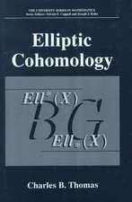 Elliptic Cohomology