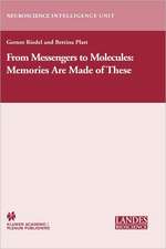 From Messengers to Molecules: Memories are Made of These