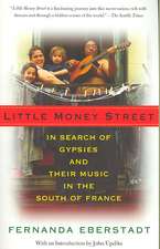 Little Money Street: In Search of Gypsies and Their Music in the South of France