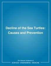 Decline of the Sea Turtles