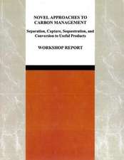 Novel Approaches to Carbon Management