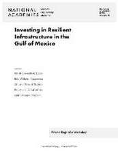 Investing in Resilient Infrastructure in the Gulf of Mexico