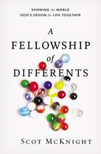 A Fellowship of Differents