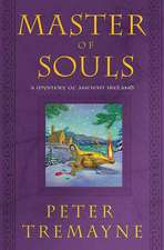 Master of Souls: A Mystery of Ancient Ireland