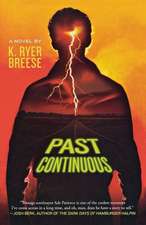 Past Continuous