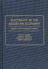 Electricity in the American Economy: Agent of Technological Progress