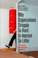 Why Organizations Struggle So Hard to Improve So Little: Overcoming Organizational Immaturity